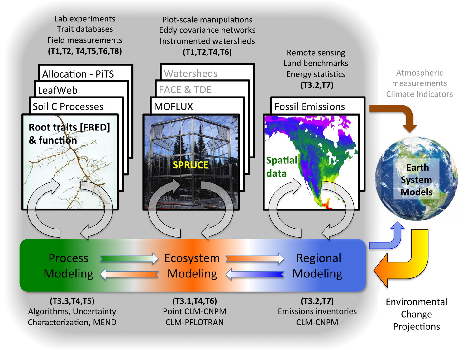 C-cycle model diagram