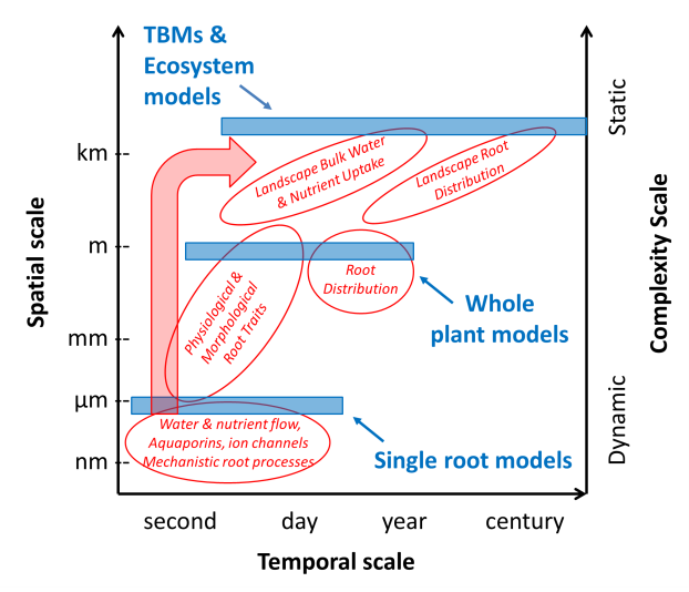 Root Traits Functions And Models Tes Sfa 5676