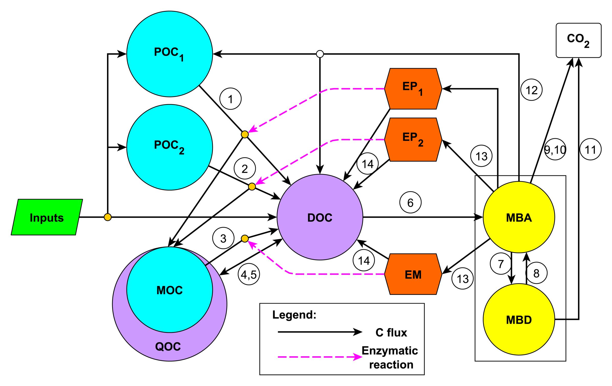 Microbial ENzyme Decomposition model (MEND) | TES-SFA