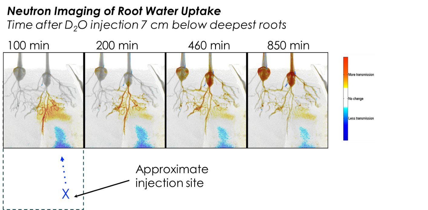 Neutron imaging