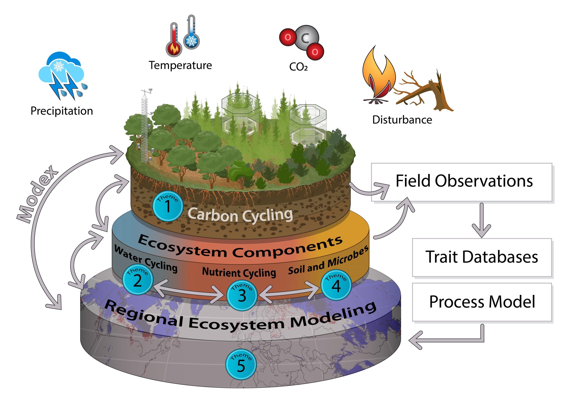 terrestrial ecosystem